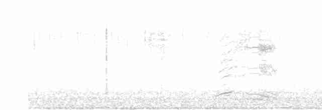 裏海燕鷗 - ML614634855