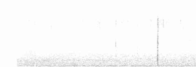 裏海燕鷗 - ML614634856