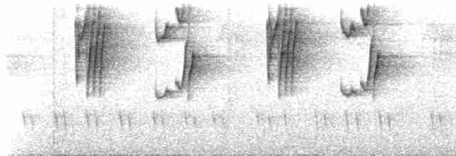 Большеклювый колибри-отшельник (margarettae) - ML614636049