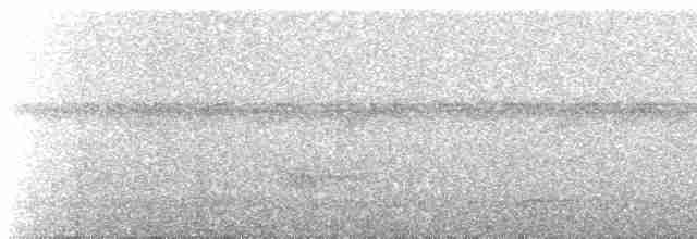 White-shouldered Fire-eye - ML614636170
