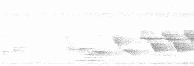 Dohrn's Thrush-Babbler - ML614637253