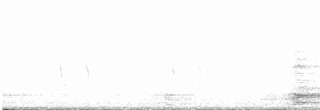 Шишкар ялиновий - ML614638576