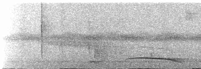 Bar-tailed Trogon - ML614639429