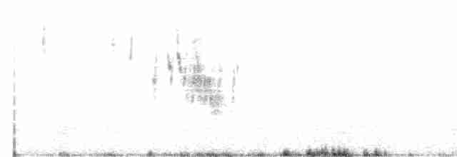 White-browed Meadowlark - ML614640680