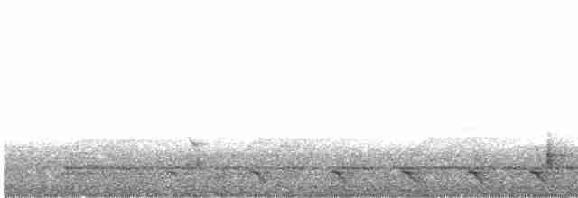 Baird Trogonu - ML614640712