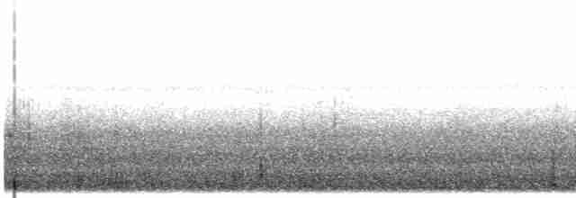 Baird Trogonu - ML614640713
