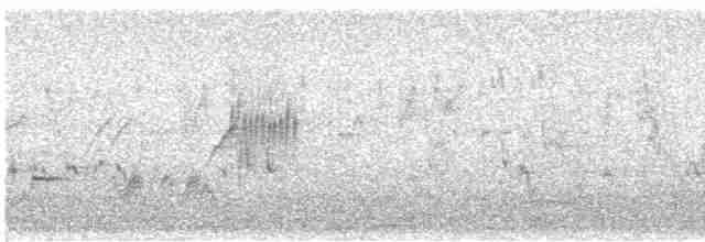 Атласная нектарница - ML614642189