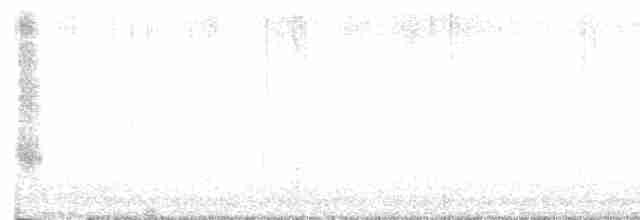 Weißbrustkleiber - ML614642424
