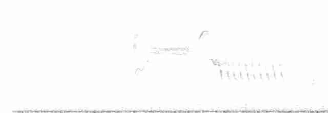 Длиннохвостый крапивник - ML614645428