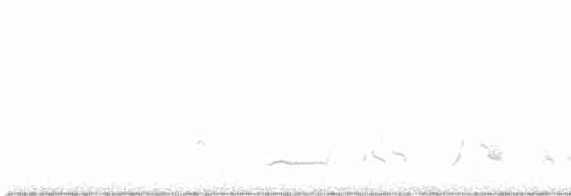 Кривоклювый пересмешник - ML614645432