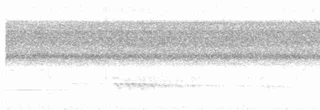 Tepeli Karıncakuşu - ML614648900
