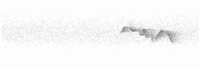 Красноголовая короткохвостка - ML614650317