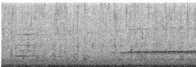 Kuzey Amerika Kara Ağaçkakanı - ML614650521