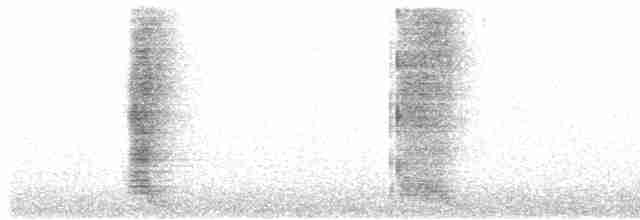 Méliphage carillonneur - ML614656593