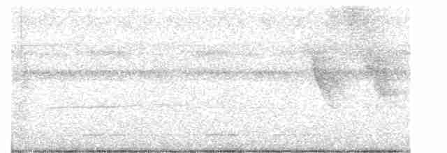 Undulated Tinamou - ML614656716