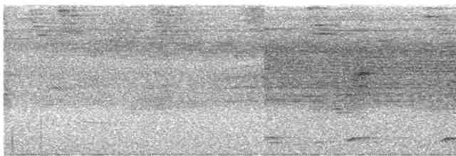 Lacivert Kuyruklu Trogon - ML614656904