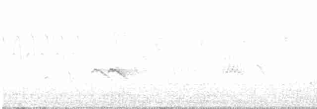 Evening Grosbeak (Mexican or type 5) - ML614658106