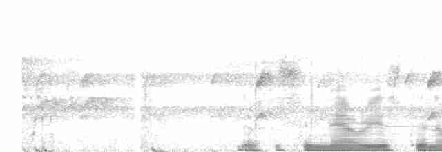 Cinereous Tinamou - ML614660353