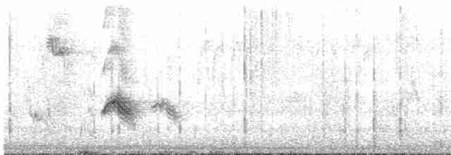 Evening Grosbeak (type 3) - ML614660490