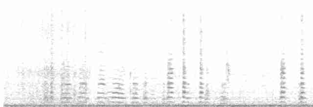 Cisne Trompetero - ML614661729