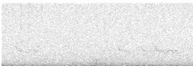Юнко сірий (підвид caniceps) - ML614663992