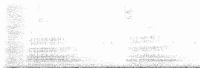 Great Egret - ML614671218