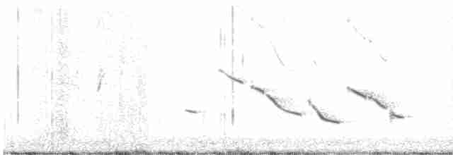 Chihuahuan Meadowlark - ML614673518