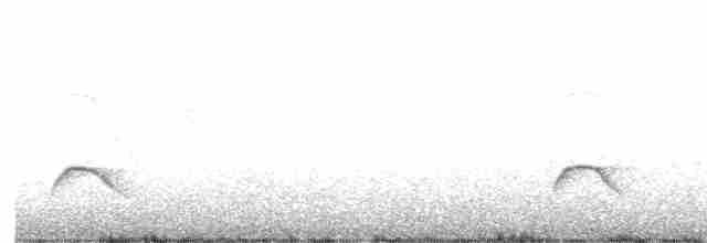White-crested Elaenia - ML614675828
