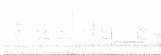 bukáček černohřbetý - ML614676626