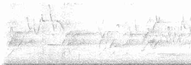 Gray-hooded Warbler - ML614678474