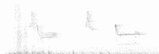 Rostflankenkleiber - ML614683013