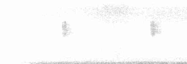 Arctic Warbler - ML614685471