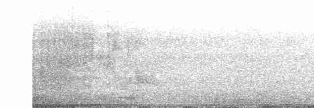 Mirlo Acuático Europeo - ML614688653
