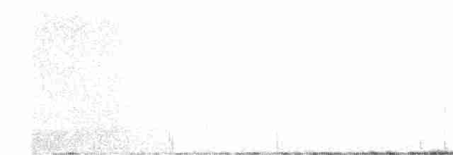 Черноспинный трёхпалый дятел - ML614689896