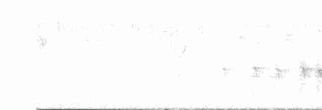ニシツメナガセキレイ - ML614690827