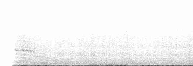 Grallaire d'Équateur - ML614692165