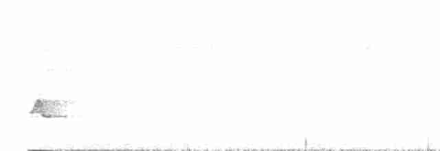 White-breasted Wood-Wren (Black-capped) - ML614692550
