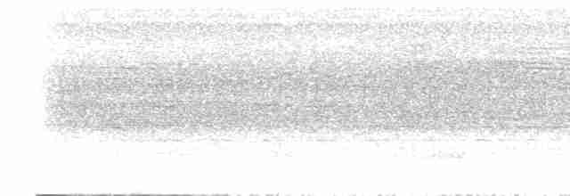 Cinereous Tinamou - ML614692816