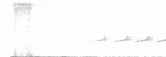 White-cheeked Antbird - ML614693053
