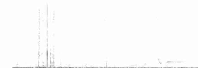 Weißschulter-Ameisenvogel - ML614693145