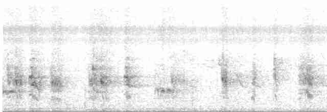 Белобрюхий дронго - ML614693667