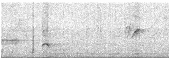Белобрюхий дронго - ML614693672