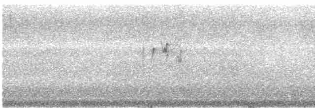 סנונית רפתות - ML614693866