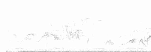 brunkinnskogtrost (swainsoni gr.) - ML614695808