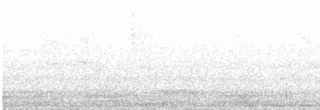 blånakkemaurpitta - ML614695925