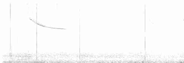 Eurasian Penduline-Tit - ML614696217