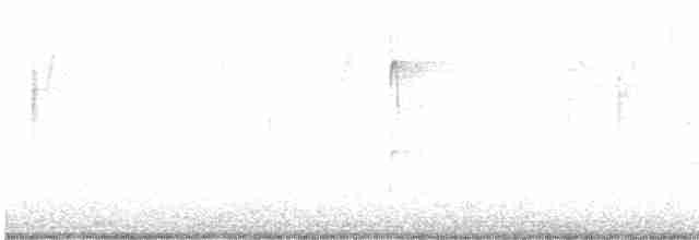 Белоголовый орлан - ML614706201