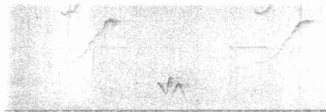 Серогрудый крапивник (bangsi) - ML614713751