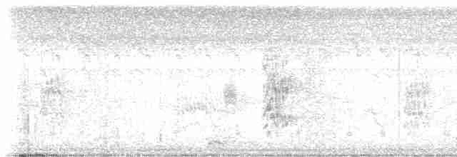Çizgili Kulaklı Baykuş - ML614713803