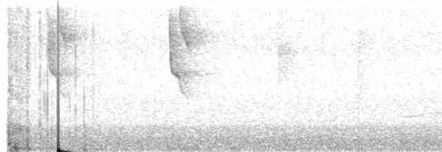 Чешуегорлый колибри-отшельник - ML614714050